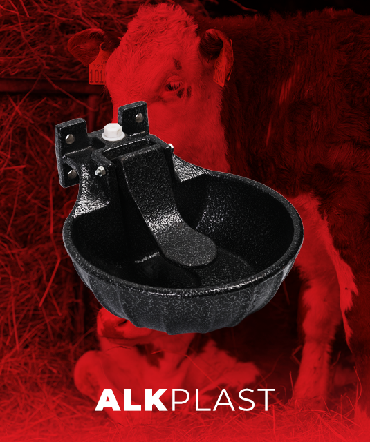 Gizlilik Politikası